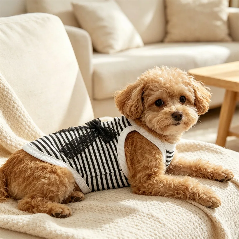 1 Stück Atmungsaktive Gestreifte Haustier-Tragetasche mit Spitzen-Schleifendekoration Sommer-Outfit für Kleine Hunde und Katzen