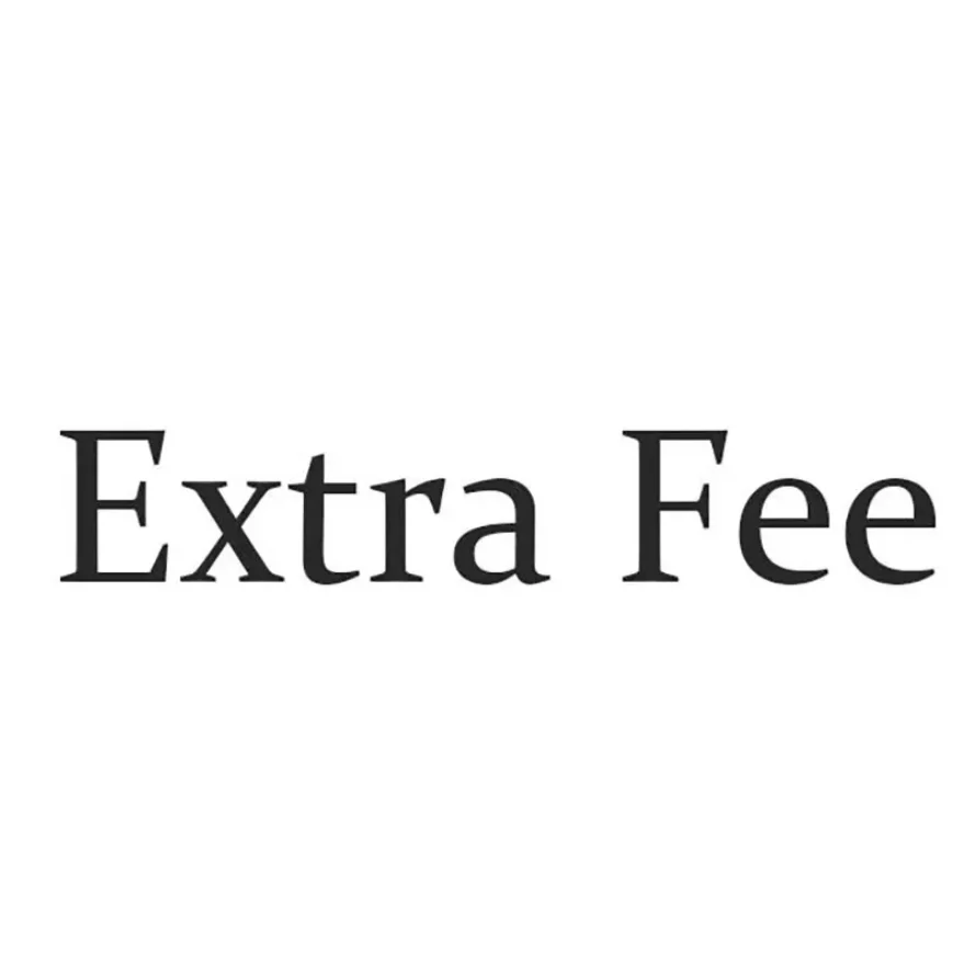 

EXTRA PAYMENT LINK for Client