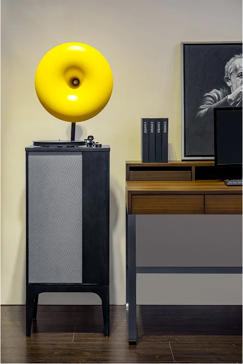 Vinyl record player Modern light luxury dynamic and magnetic all-in-one machine Color speaker Minimalist style HIFI sound