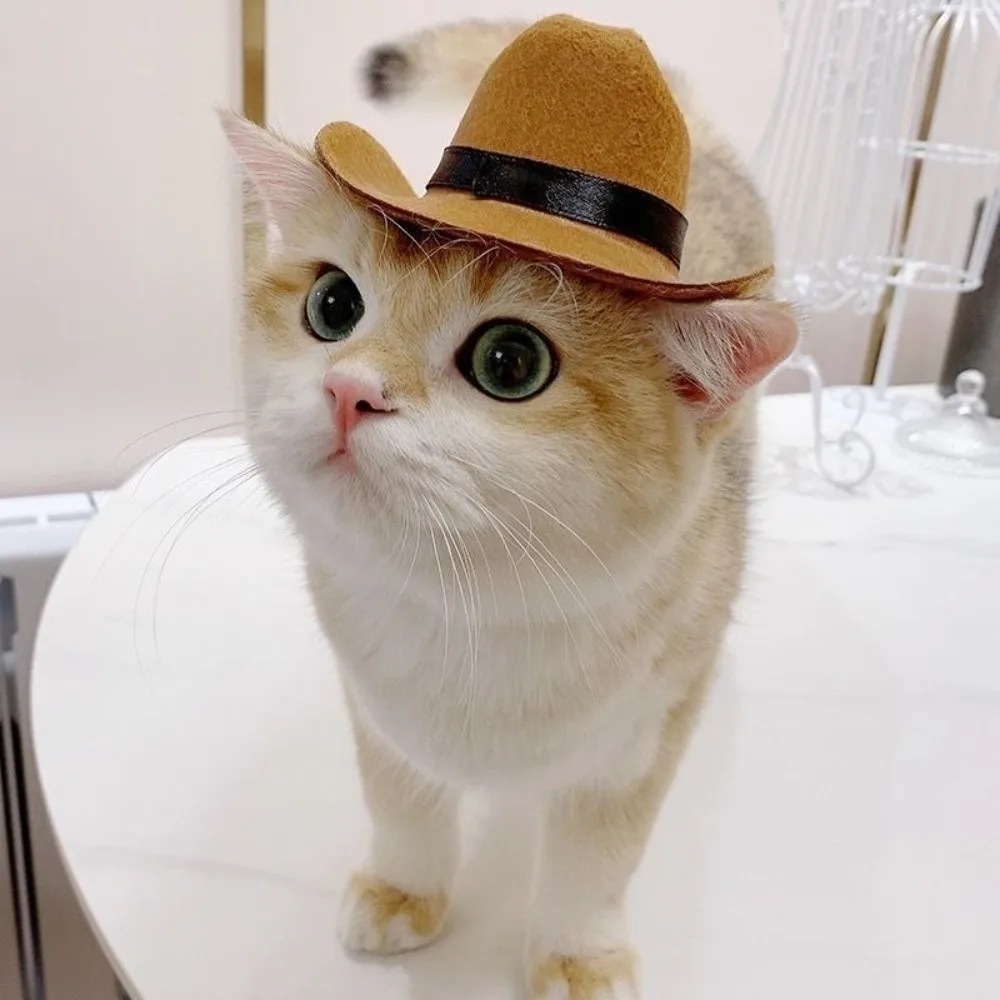 Cute Pet Western Cowboy Hat Set Breathable Adjustable Pet Cowboy Hat Comfortable Cats Triangle Scarf Holiday Costume