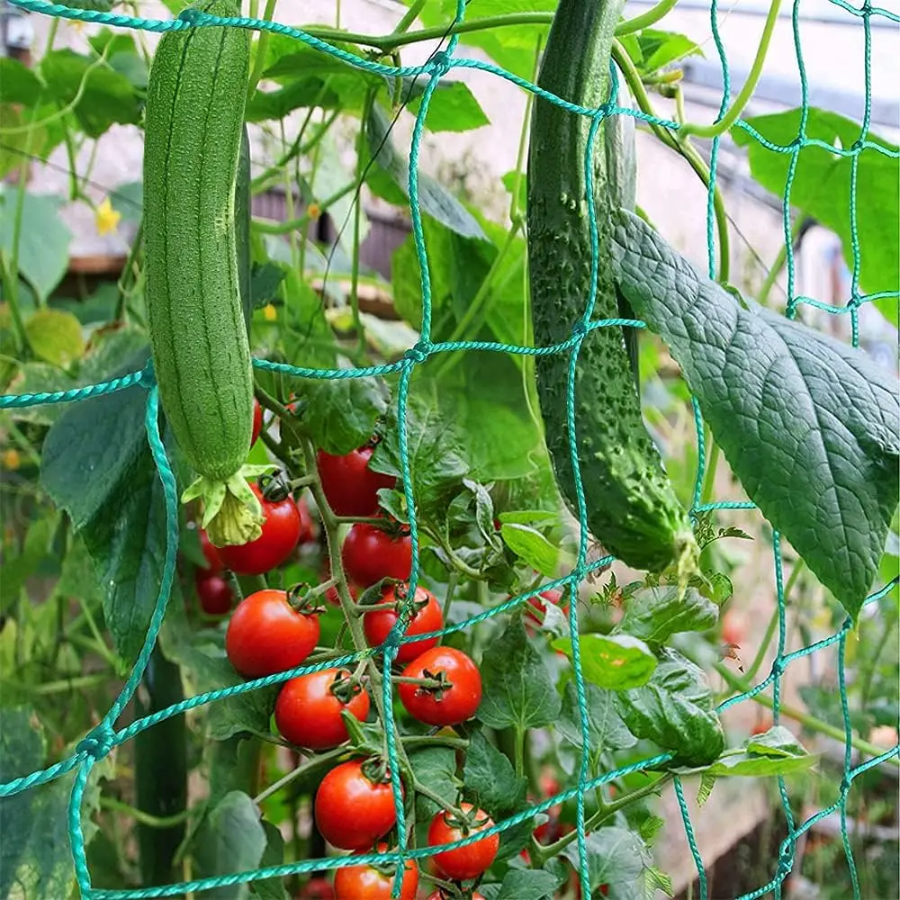 

Plants Trellis Netting Cucumber Tomato Heavy Duty Netting For Climbing Support Grape Bean Fruit Vegetables