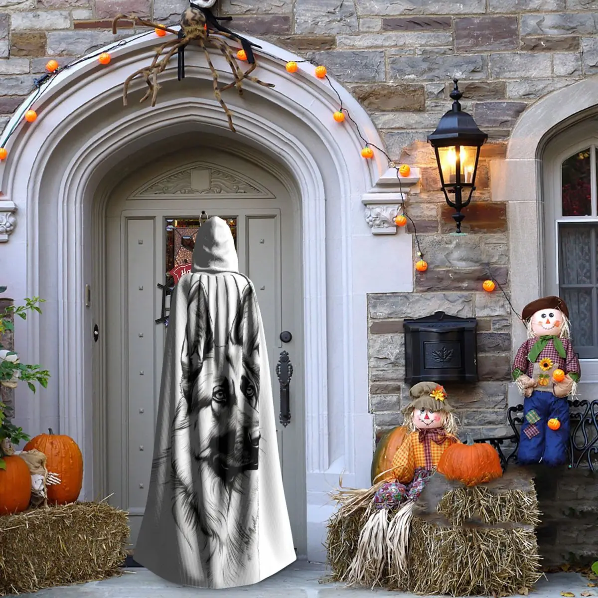 كلب الراعي الألماني عباءة طويلة بقلنسوة الساحرة في القرون الوسطى زي تنكري كيب الهالوين مصاص دماء الكبار للجنسين