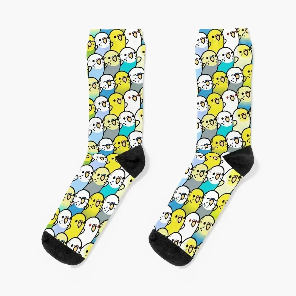 Bunches of Budgies Socks ankle Non-slip Ladies Socks Men's