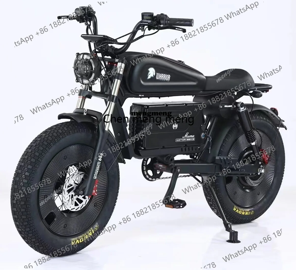 China Cheap Long Range Moto Electric Retro Sport Cross Bike Motorcycles Electrical System E Bike Bicycle for Adults Man Lad