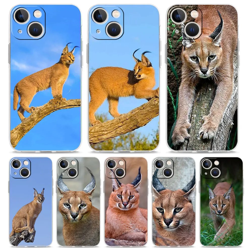 Phone Case For Ipho…