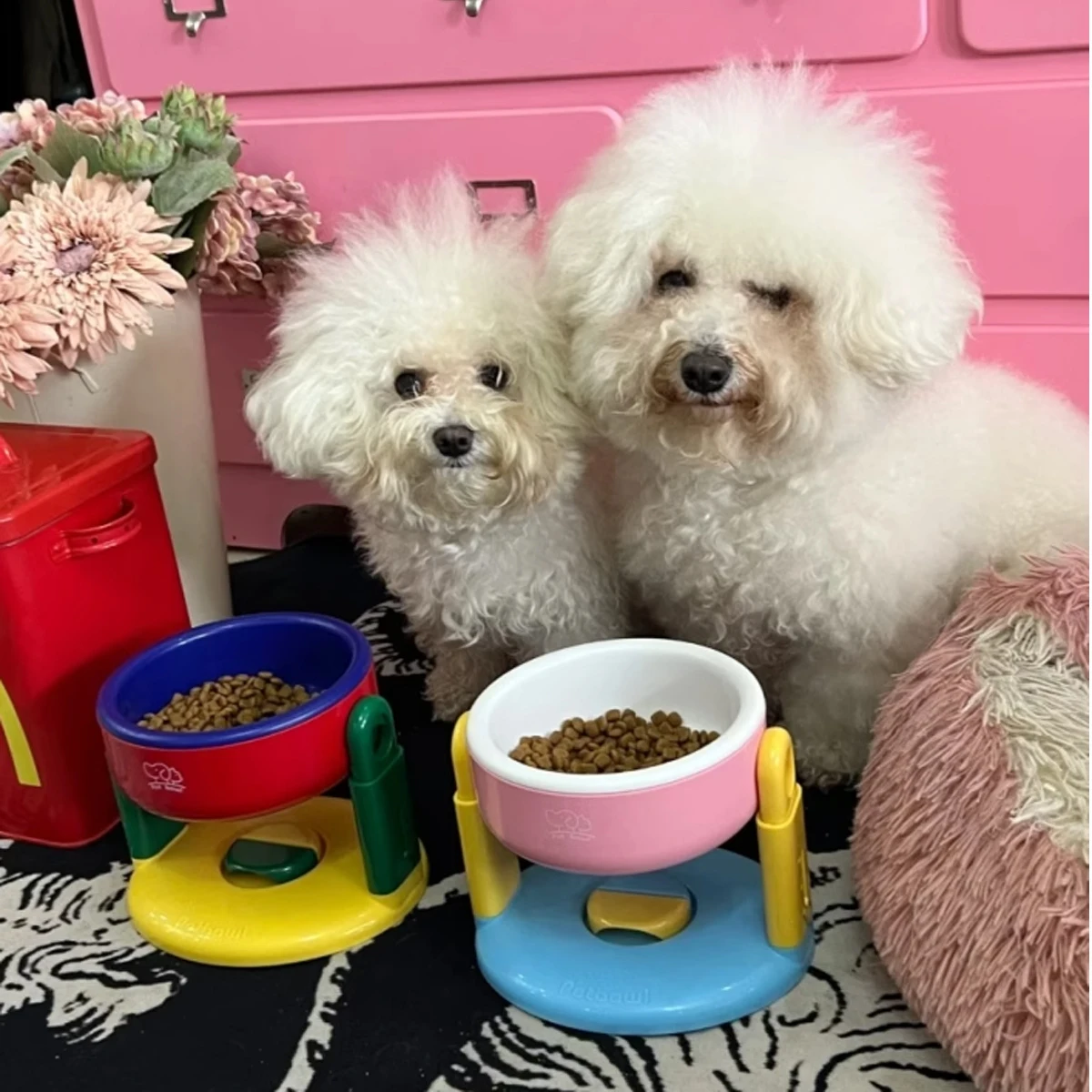 #44 Latest Dog Bowls Offers