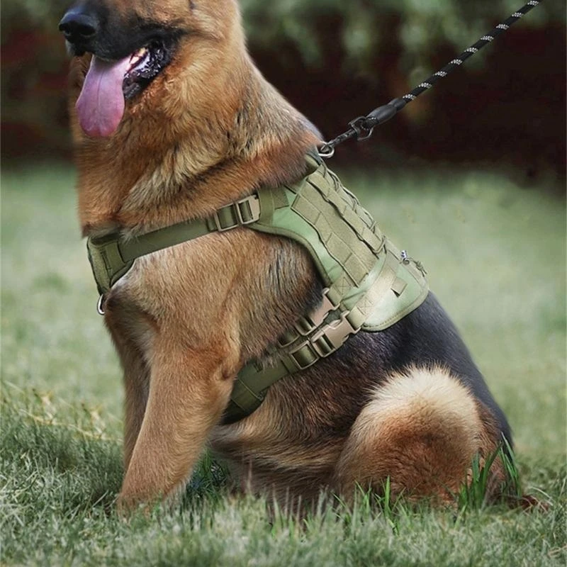 Practical gran chaleco perros Arnés para perros para entrenar caminatas y diversión aire libre C7AC