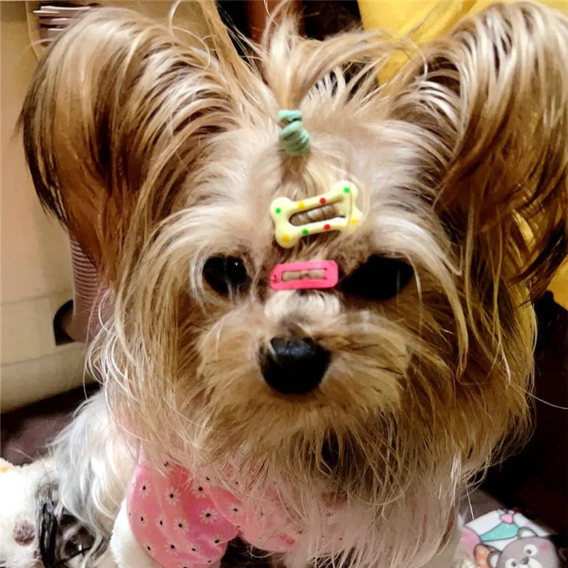5/10/20pcs Dog Hair Clips Multicolor Barrettes Small Bone Snap Hair Clips for Dog Cat Pet Grooming Bows Pet Hair Accessories