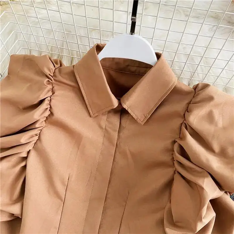 Casual Elegant Turn Down Collar Retro Court Style Ruffled Puff Sleeve Lapel Long-sleeve Top Solid Office Lady Shirt And Blouses