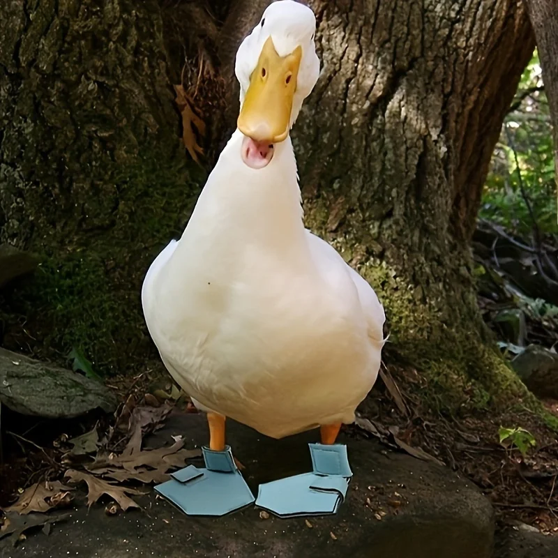 Pet Supplies Duck Goose Shoes Pet Duck Cole Duck Feet Bird Boots Protective Shoes