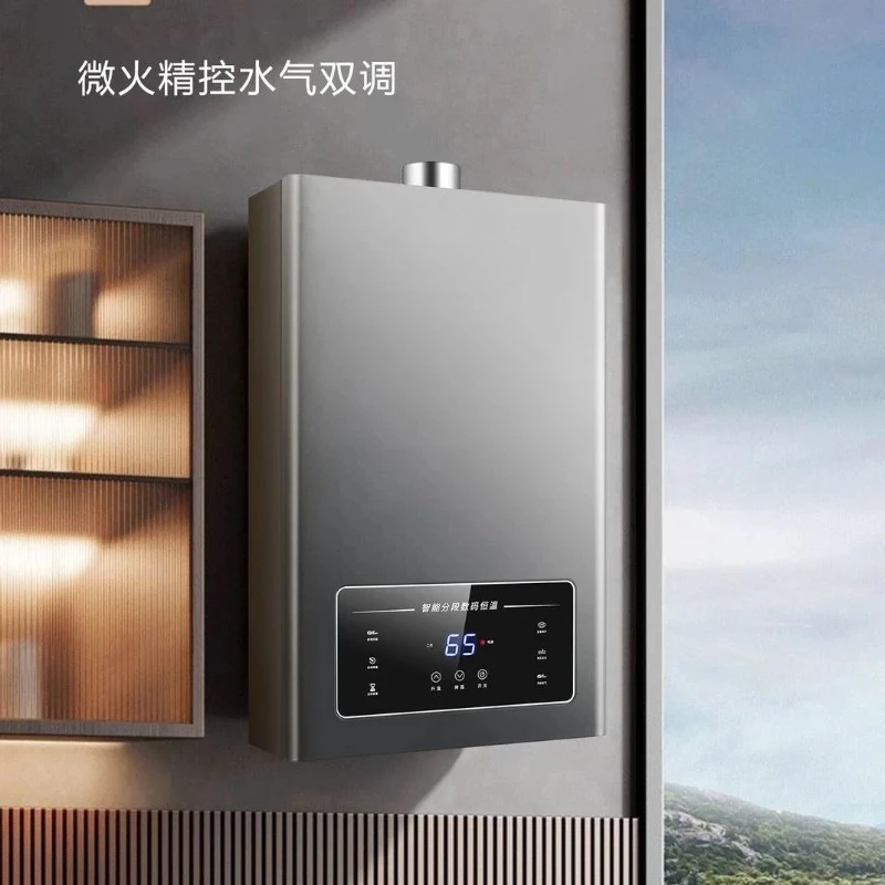 Gas Water Heater, Constant Temperature Natural Gas Liquefied Petroleum Gas Household Intelligent Bathing Water Heater