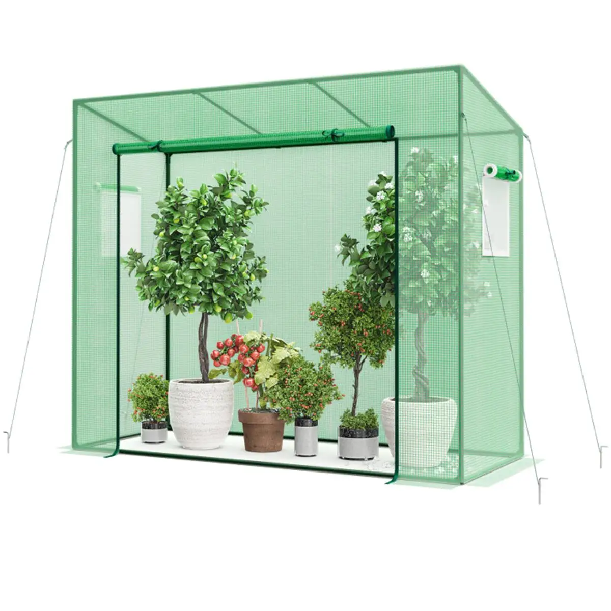 Portable Outdoor Mini Walk-In Greenhouse for Plants - Easy Setup, Weather-Resistant, Garden