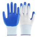 Blue-White
