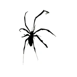 Black Spider Waterproof Temporary Tattoos Men henna Tattoo Beauty Sleeve Tatoo sticker Tatuagem tatuajes temporales hombre