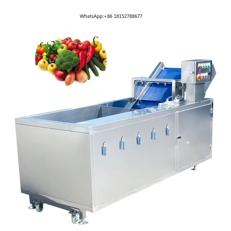 800 kg Capacity Vegetable & Fruit Washer Cleaning Machine for Mango & Cranberry