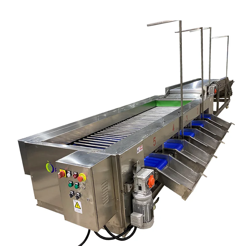Accurate Advanced Automated Cherry Tomato Grading Machine Food-Grade 304 SS Processing Plants