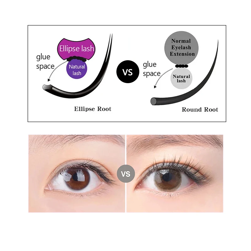 Winky Beauty Flat Lashes Extension For Professionals Ellipse Flat Lash Split Tip Profession Soft Flat Eyelash C/D/CC/DD Curl