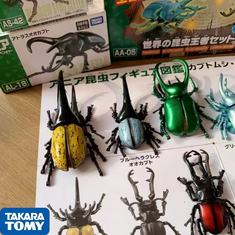 Takara Tomy Domeca Anglia Euphorbia insecto gigante unicornio Hada escarabajo insecto modelo simulación Animal salvaje juguete para jugar y regalo