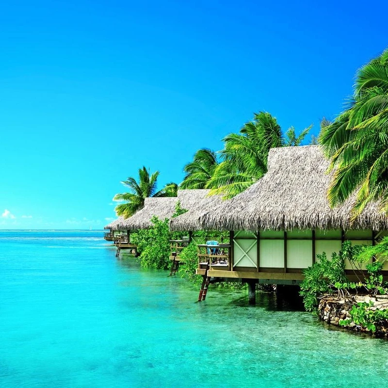 2 في 1 ديود إزالة الشعر بالليزر الجليد غير مؤلم الكسندريت بيكو ثانية إزالة الوشم بالليزر متعدد الوظائف نظام التبريد الجمال