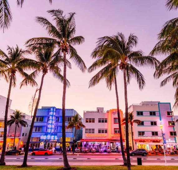 Hair Care Ultrasonic Infrared Cold Plate Hair Straightener Flat Iron for Keratin Hair Treatment Frozen Machine