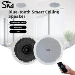 6.5'' Home sound system Dustproof Smart BT In ceiling acoustics Active Speakers 2Channel BuiltWall Mount Roof Speaker for Indoor