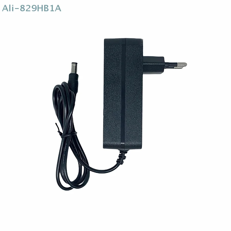 2.4V2A Black Supply Adapter Charger For UV LED Lamp Safe And Durable VDE Nail Dryer Nail Art Tools