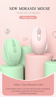 Wireless Bluetooth Mouse Dual Mode Rechargeable Ergonomic 2.4G Optical Mice with USB RGB 1600DPI Mute Mouse Computer Laptop M107