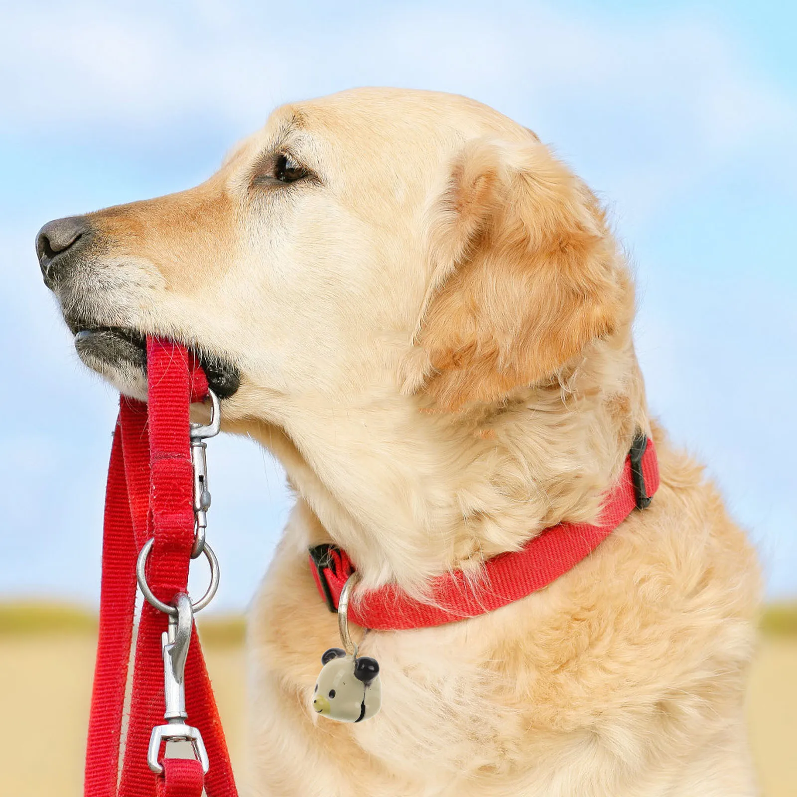 

10pcs Pet Collar Bell Mini Brass For Cats Dogs Small Bell Charm Diy Craft Accessory Birthday Wedding Party Decor