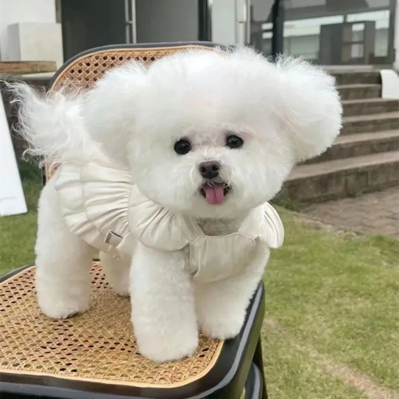 Fashion Summer Pet Bow Dog Clothes Skirt Puppy Dresses Teddy Bear Dog Cat Going Out To Tow Thin Sun Protection Pet Clothing