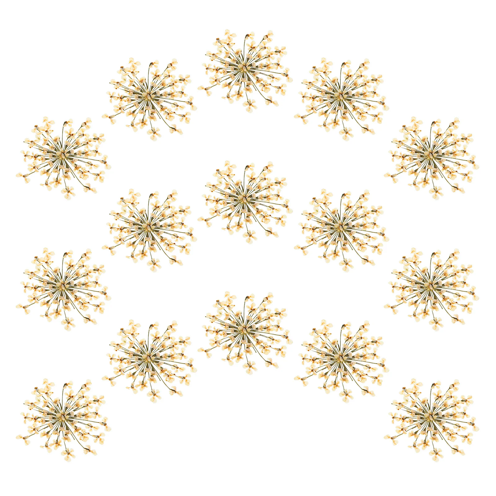 

48Pcs Dried Pressed Flowers DIY Craft Material for Resin Jewelry Making Handmade Bookmarks Stationery Decor Natural Floral