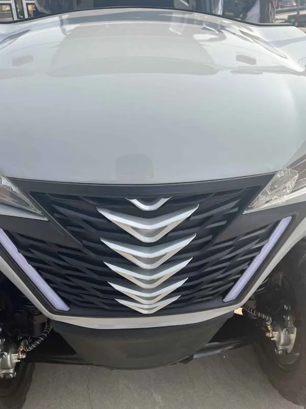 بيع المصنع مباشرة كرسي متحرك عربة جولف محرك عربة جولف كهربائية #5