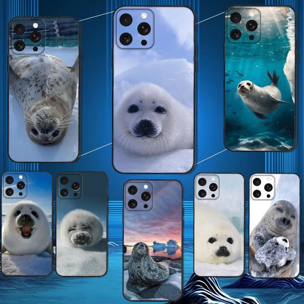 

Seal Animal Cute Phone Case For iPhone 16,15,14,13,12,11 Plus,Pro Max,XS,X,XR,SE,Mini,8,7,Soft Silicone Black Cover