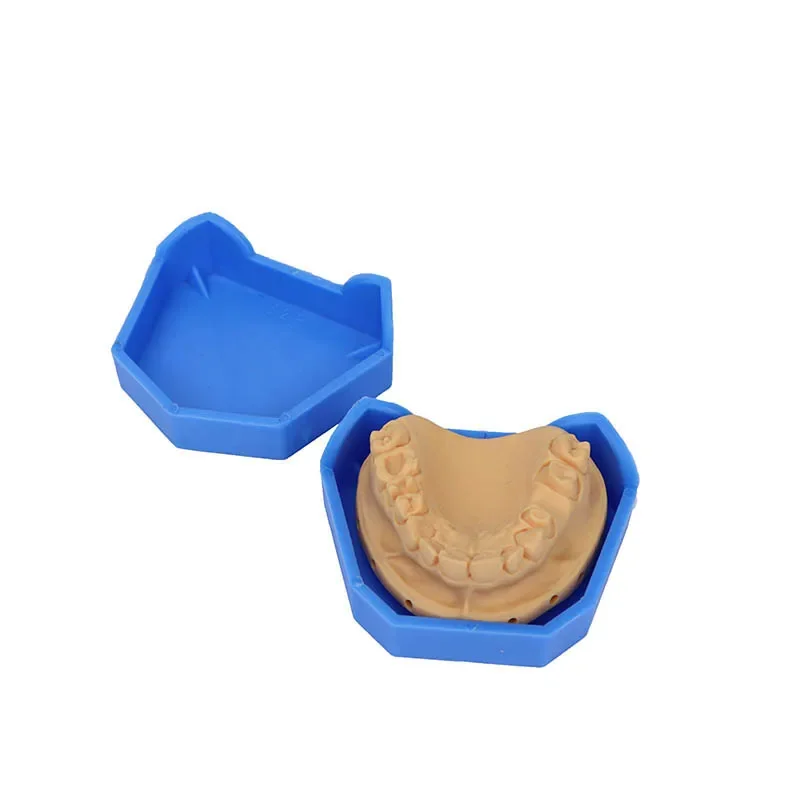 

6pcs Dental Model Base Silicon Plaster Model Base Denture Impression Trays Dentistry Former Base Kit Dentist Laboratory Tools