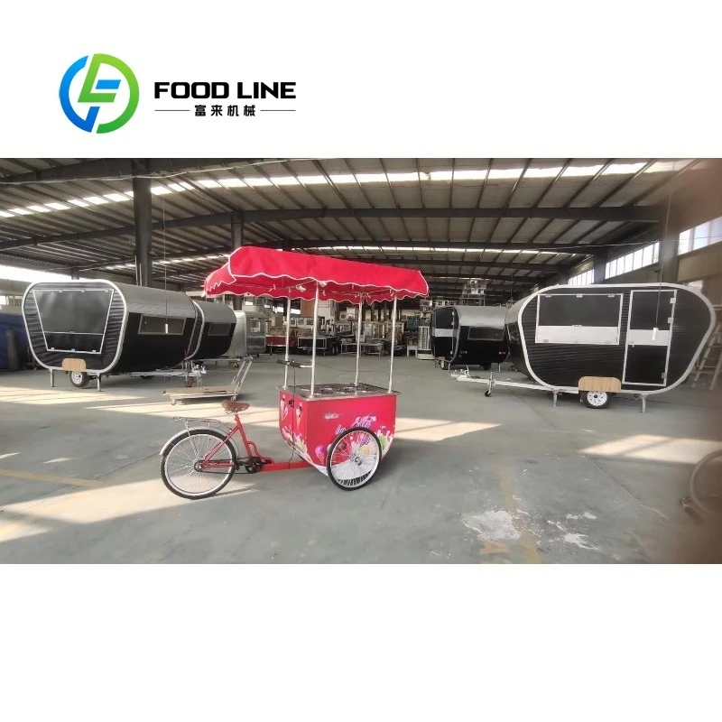 Customized Factory Sale Hand Push Ice Cream Popsicle Cart Commercial Food Vending Bicycle for Street Mall Use
