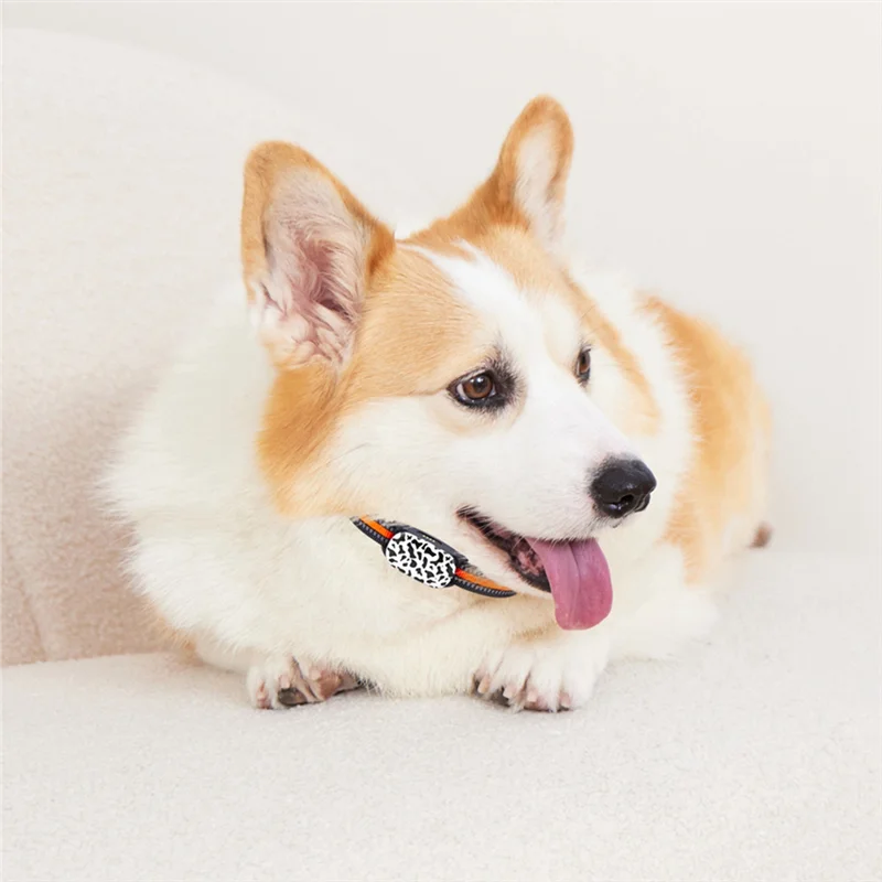 محدد موقع طوق تتبع الكلاب 4G مع خريطة جوجل تتبع في الوقت الحقيقي للحيوانات الأليفة GPS