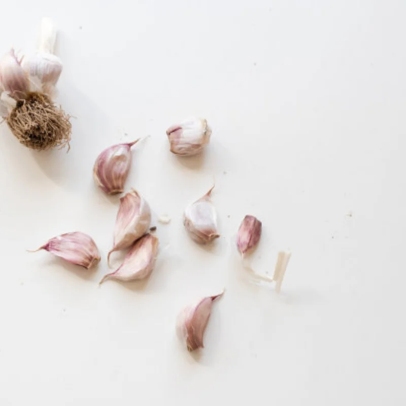 Cric de levage réglable pour modèle de voiture sur chenilles, échelle 1/10 RC, pour Axial SCX10 TRX4 Tamiya CC01 D90, accessoires de jouets