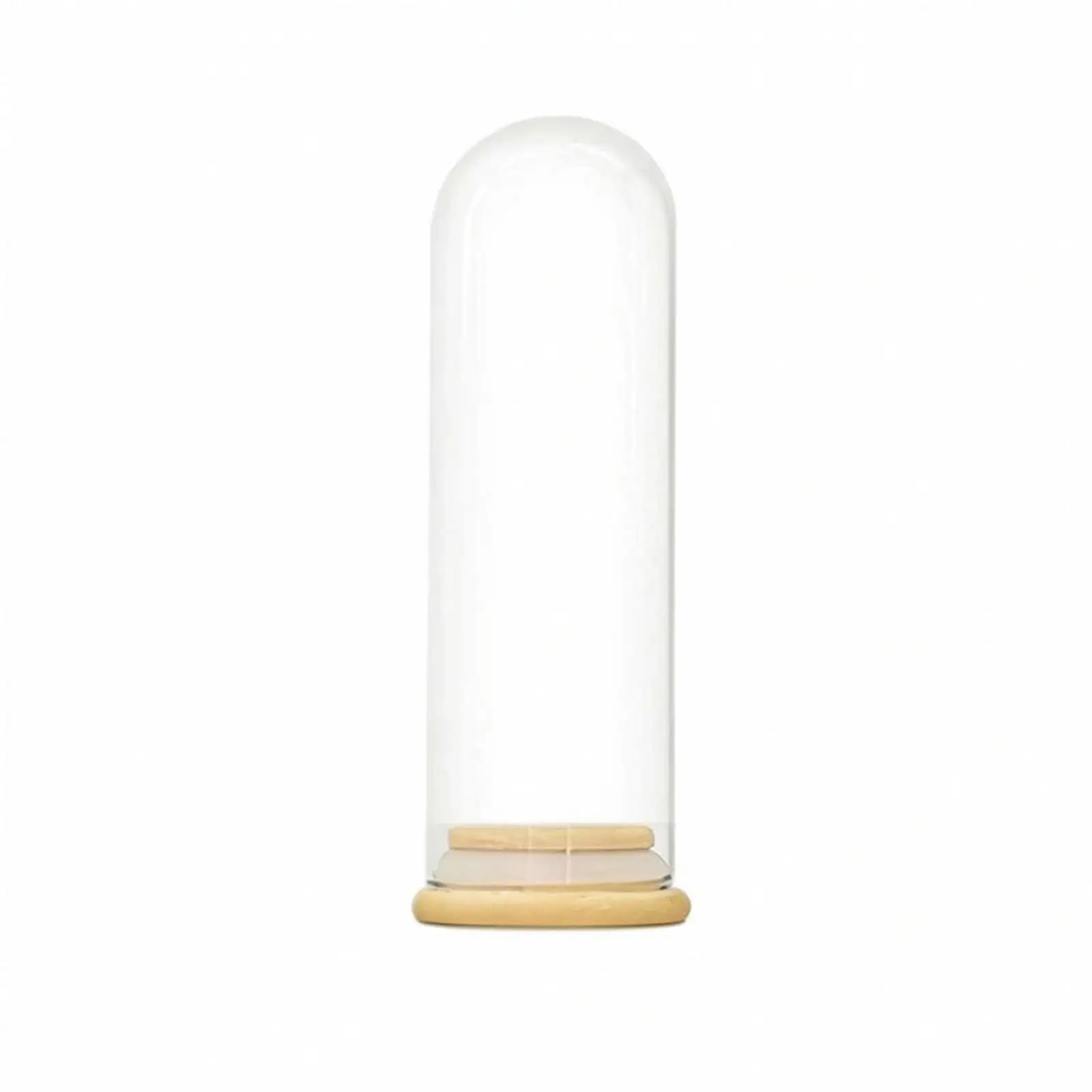 Tabletop Glass Cloche Dome with Bamboo Base for Preserved Botanicals Ornaments Home Decor Display