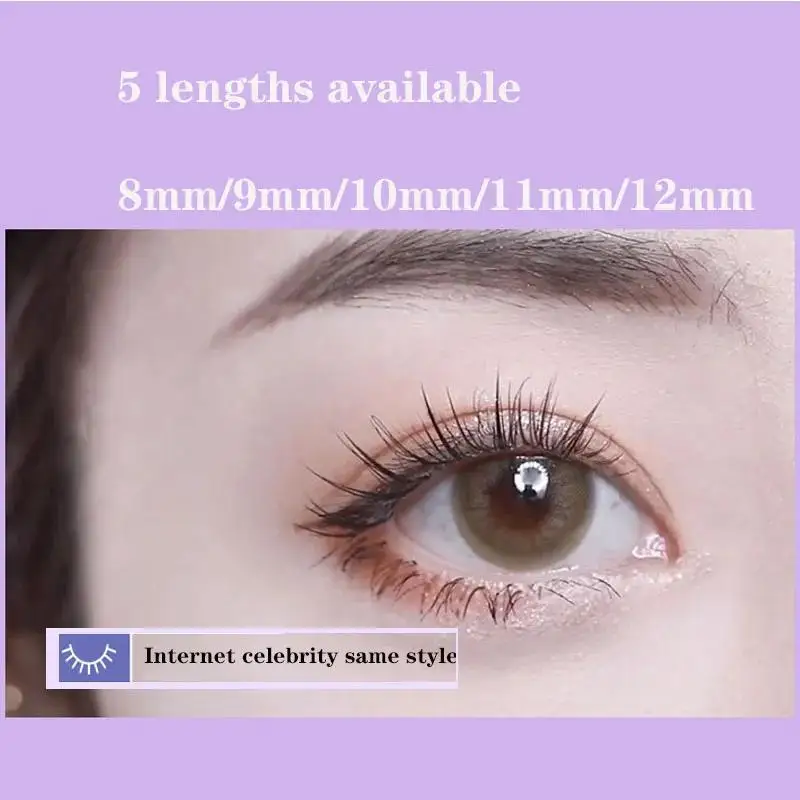 Anninet 60 Cluster/Box Tägliches Make-up Falsche Wimpern Einzelner Cluster M-Typ Sandwich Natürliches Make-up Werkzeuge Wimpern Auge Wimpern – Detail 3