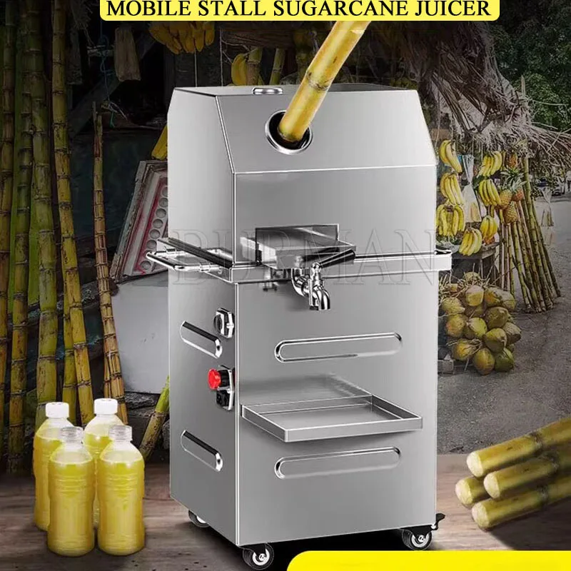 Automatic Stainless Steel Juicer Sugarcane Squeezing Machine Desktop Model Juicer