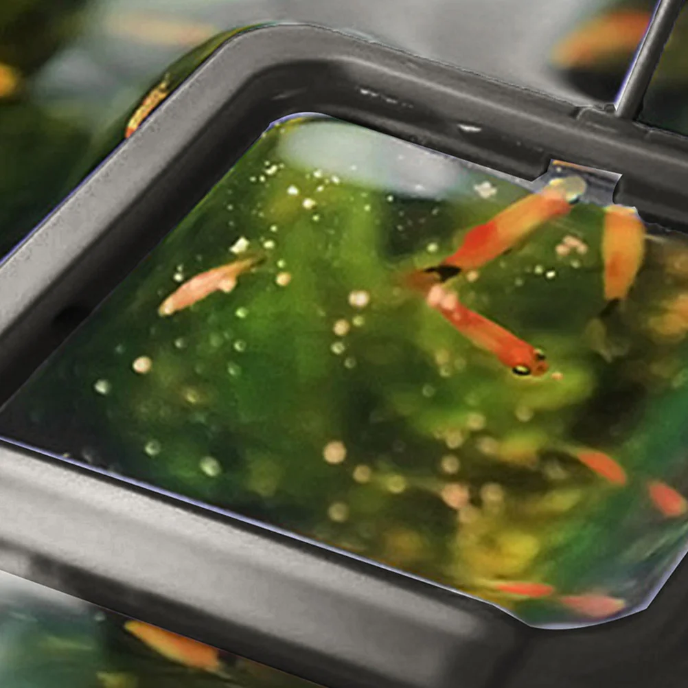 

2Pcs Floating Fish Feeder Ring Aquarium Feeding Tool Reusable Tank Accessory Suction Cup for Convenient Mess Free