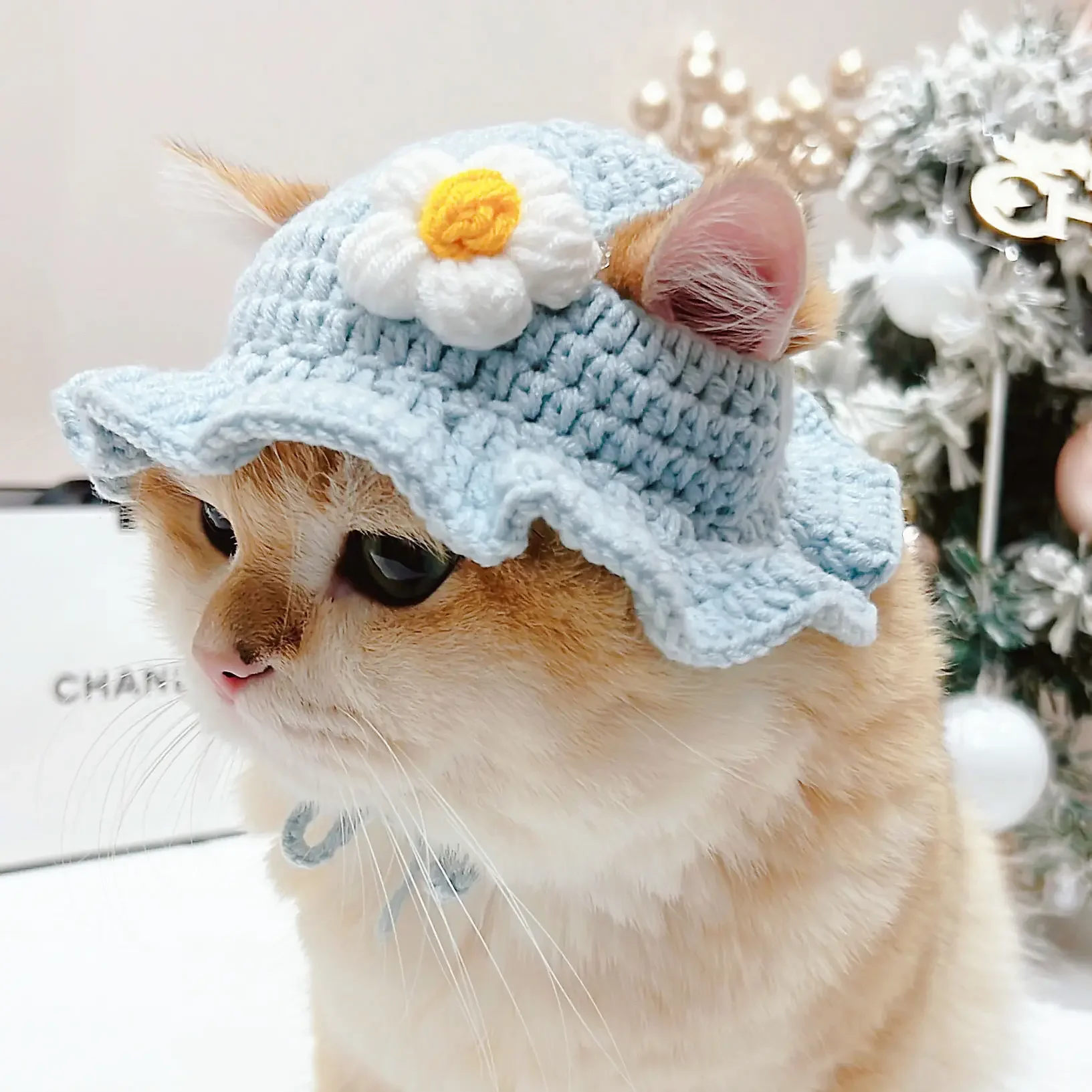 Cute Knitted Cat Hat for Autumn Winter Pets
