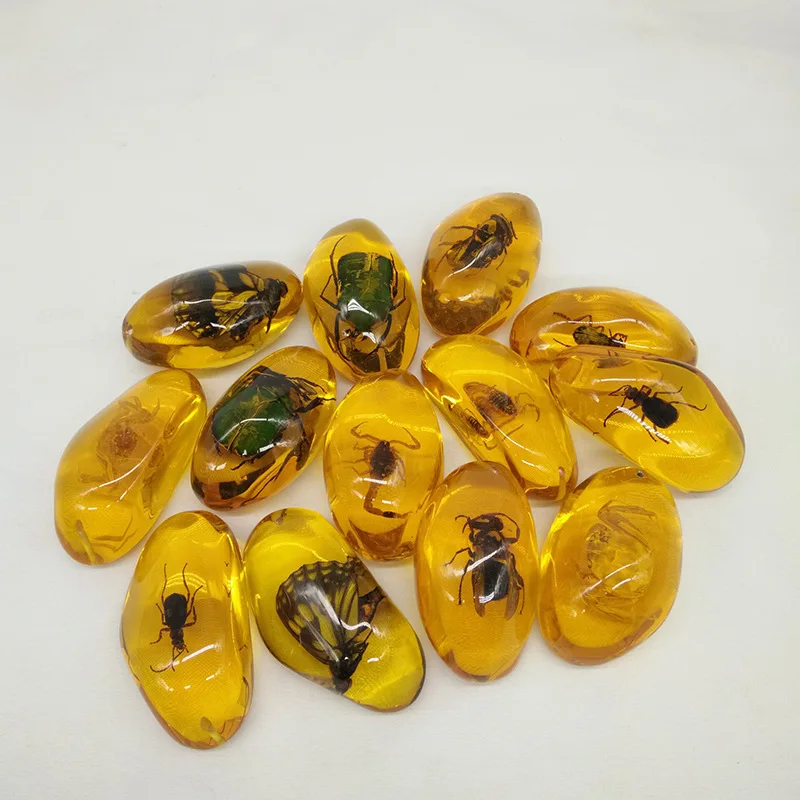 Natural Insect Amber Specimens Crafts Children Science Education Cognitive Toys Amber Bugs Scorpions Ladybirds Insect Specimens