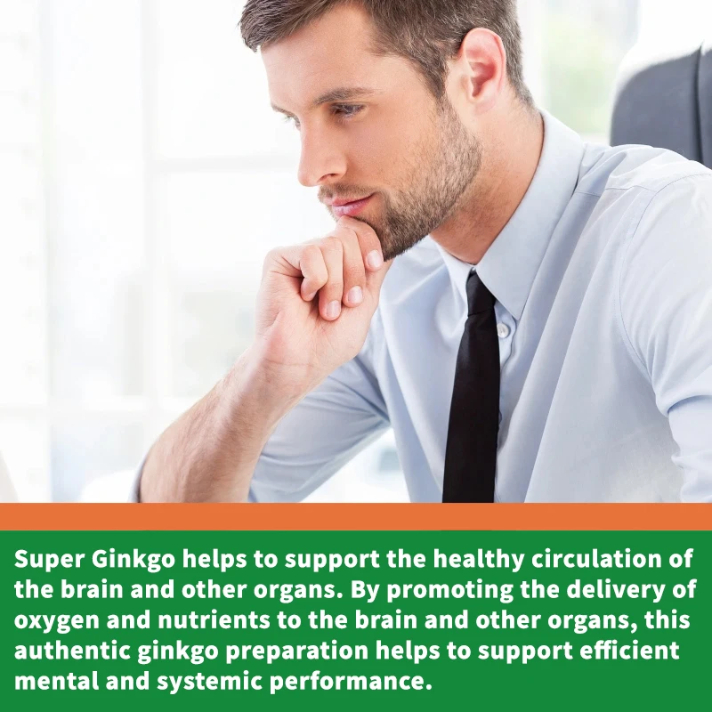 Ginkgo Biloba Capsules - Brain Health, Improving Concentration & Memory, Energy Boost