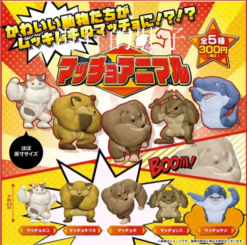 

SK JAPAN Original Gashapon Figure Cute KawaiiBeefy Animal Muscle Shiba Inu Kitty Cat Figurine Anime Gachapon Capsule Toys Gift