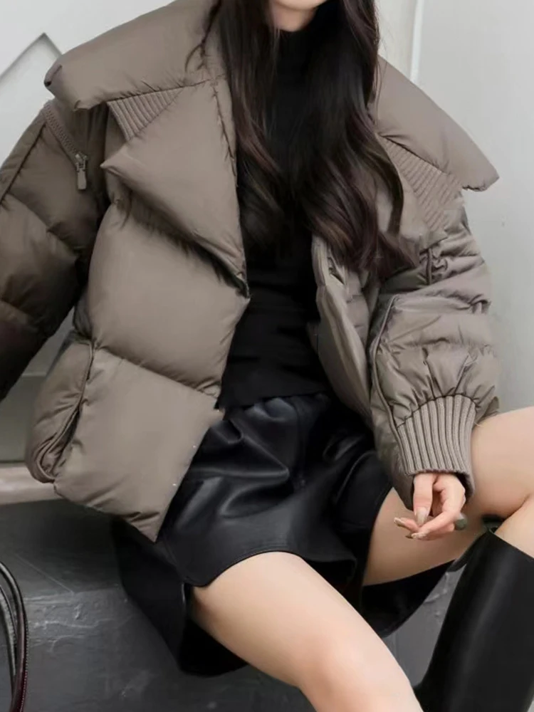 [EAM] Brown Knitting Big Size Keep Warm Down Jacket New Long Sleeve Warm Women Parkas Fashion Tide Autumn Winter 2024 CP3465