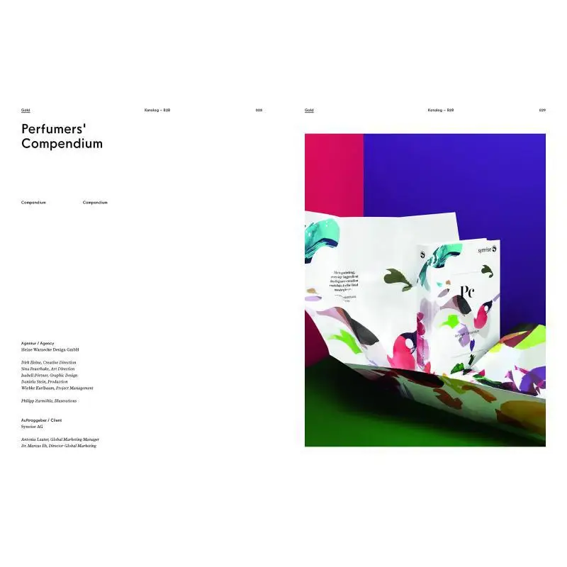 Print Design Bilingual Edition The Latest From Germany  Switzerland  Austria OdoEkke Bingel Verlag Niggli 9783721210224 Book