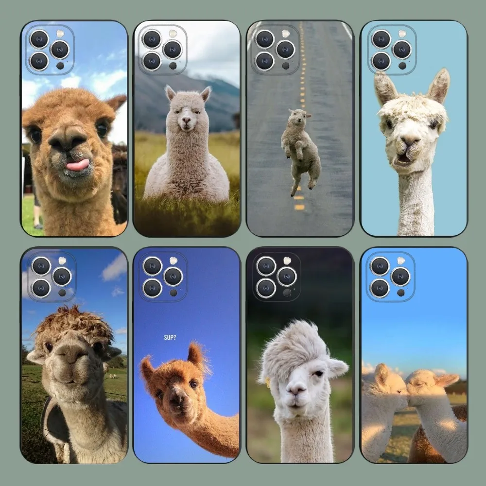 Lama Llama Alpaca  Phone Case For iPhone 15,14,13,12,11,Plus,Pro Max,XS,X,XR,SE,Mini,8,7 Soft Silicone Black Cover