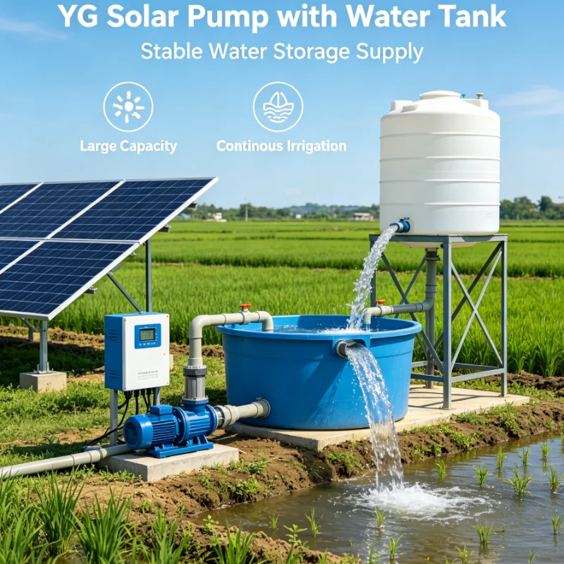 Customized Professional Reliable Durable Solar Surface Pump With Stainless Steel Body For Garden Watering And Farm Use