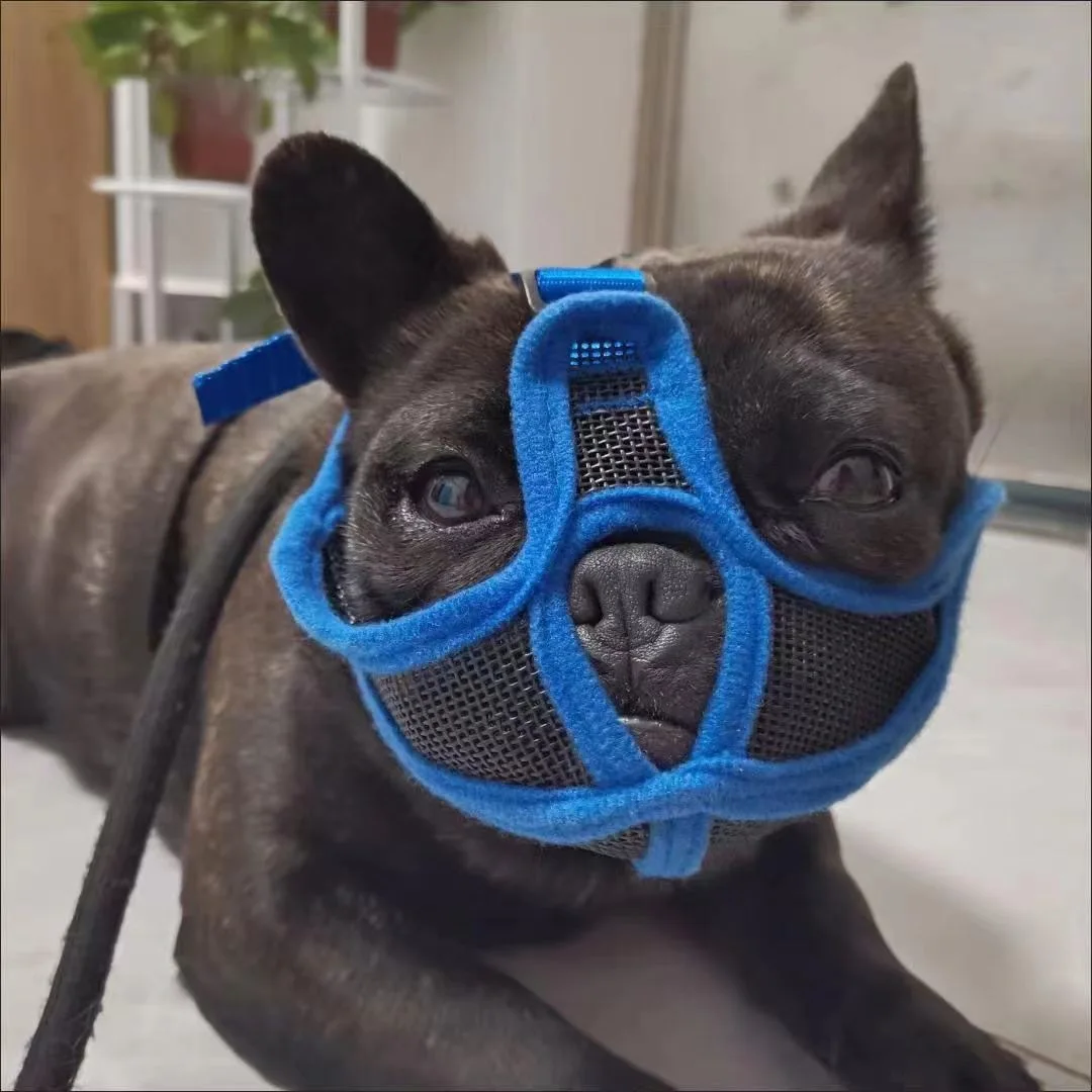 New French Bulldog Muzzle to Prevent Eating, Short-mouthed Dog Muzzle to Prevent Biting, Bulldog Special Mouth Cover Dog Mask