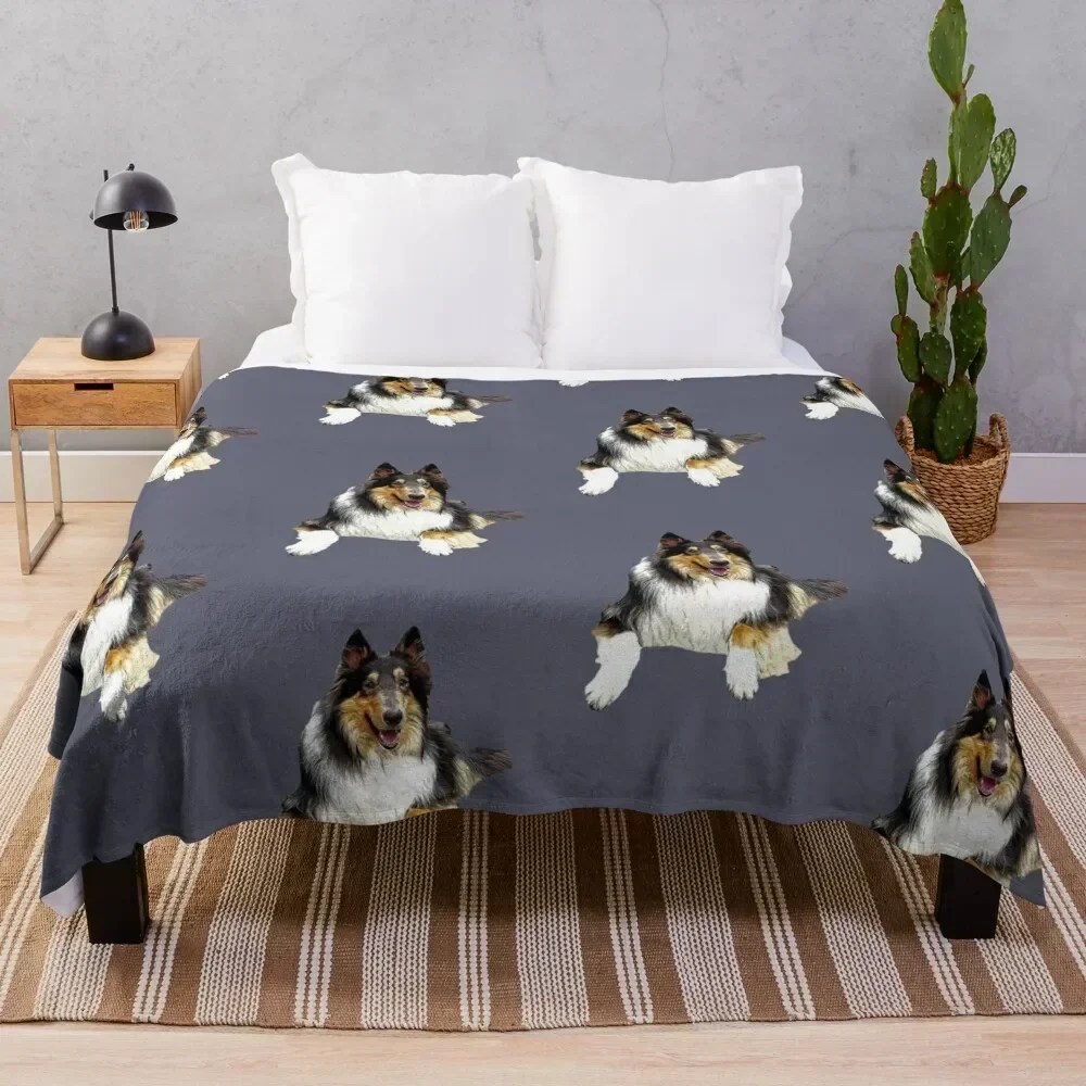 

Rough Collie Tri Throw Blanket For Decorative Sofa Thin Soft Beds Shaggy Blankets